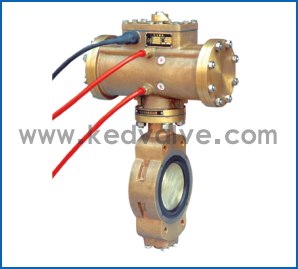 船用青銅浸沒式氣動蝶閥(圖1)