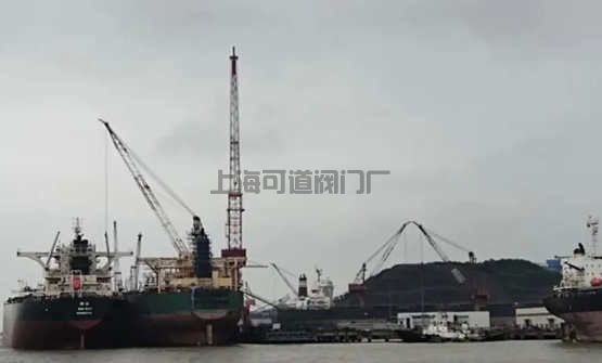 印度疫情沖擊，舟山“無船可修”，損失金額達15億元(圖1)