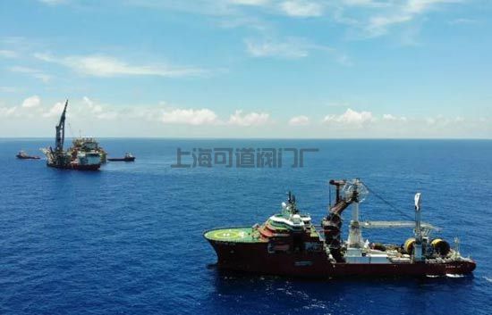 “深海一號”大氣田最后一根軟管已就位(圖1)