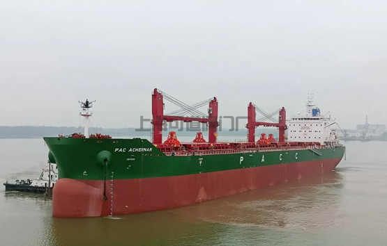 新大洋造船交付兩艘皇冠63散貨船(圖4)