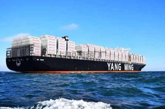 陽(yáng)明海運(yùn)或?qū)⒂诮諞Q定是否訂造全球最大型的24000TEU集裝箱船(圖1)