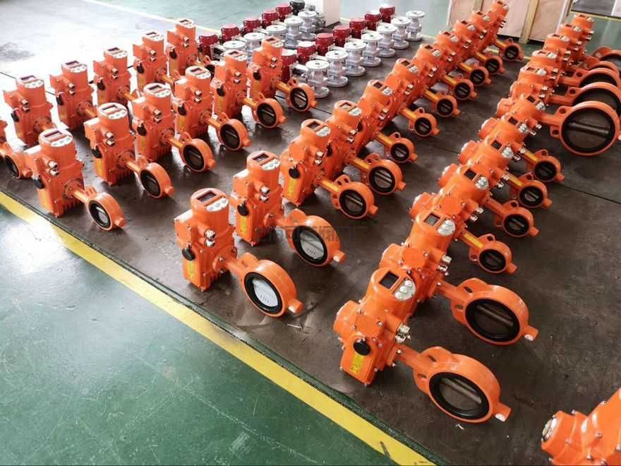 電動對夾式軟密封蝶閥-蝶閥廠家(圖2)